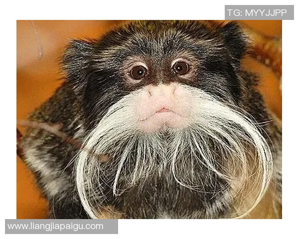 足球明星孩子的搞笑瞬间合集让你捧腹大笑的温馨时刻